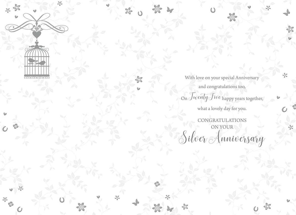 Silver Anniversary 25 Years Anniversary Card Lovely Verse