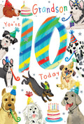 Grandson 10th Birthday Card Age 10 Dogs 9" x 6" Lovely Verse