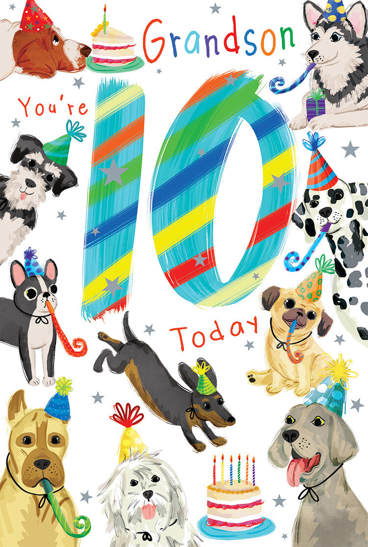 Grandson 10th Birthday Card Age 10 Dogs 9" x 6" Lovely Verse