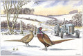 Nostalgic Traditional Tractors  Landrover Canal Christmas Card 28 Designs