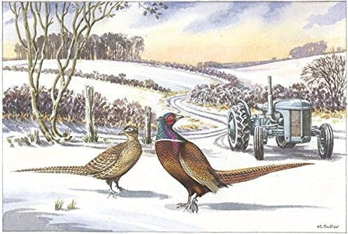 Nostalgic Traditional Tractors  Landrover Canal Christmas Card 28 Designs