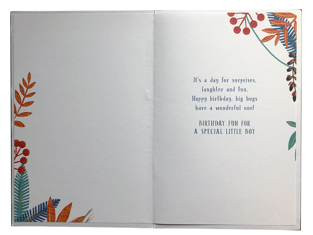 For A Special Brother 3rd Birthday Card - Cute Elephant, Bird, Flowers