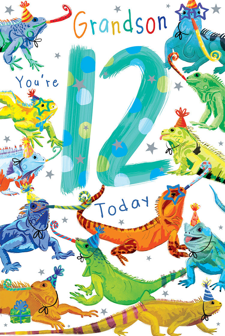 Grandson 12th Birthday Card Age 12 Iguanas 9" x 6" Lovely Verse