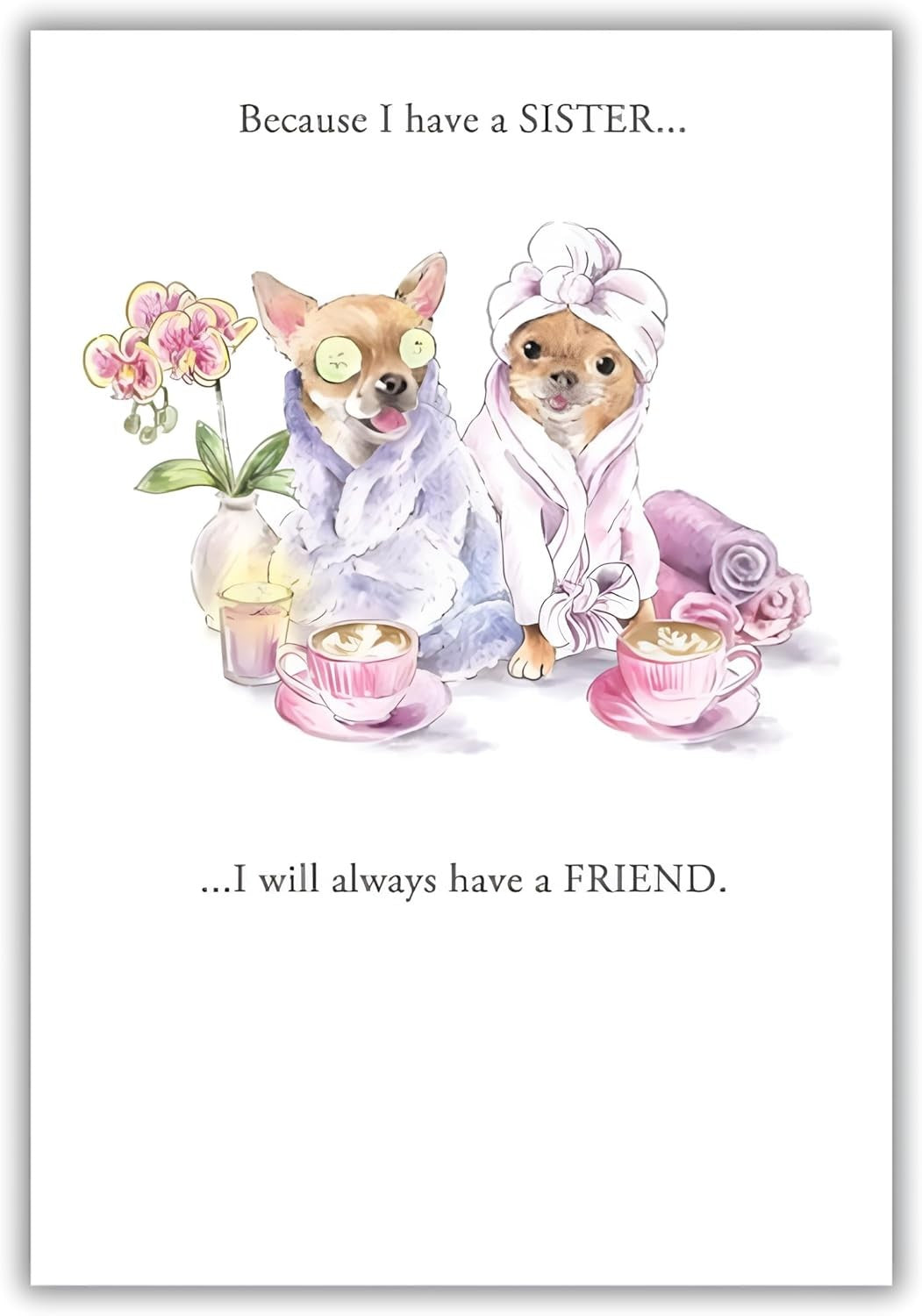 Sister Card Spa Dogs & Friendship Verse Birthday Thank You Just Because 13x19cm
