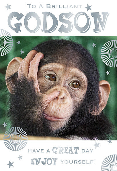 Godson Happy Birthday Card Cute Monkey Design Lovely Verse