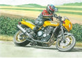 Nostalgic 1991 Triumph Trident Special Motorbike Design Open Blank Birthday Card