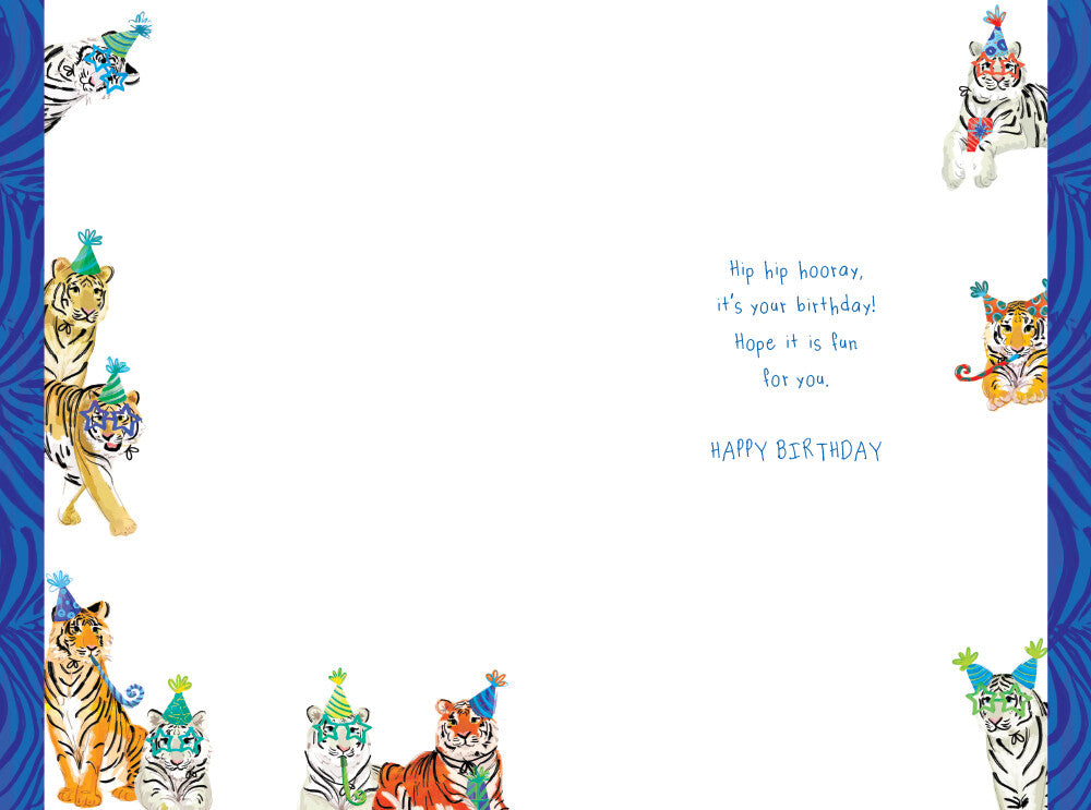 Great Grandson 10th Birthday Card Age 10 Tigers 9" x 6" Lovely Verse