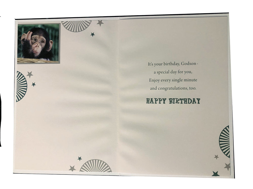 Godson Happy Birthday Card Cute Monkey Design Lovely Verse