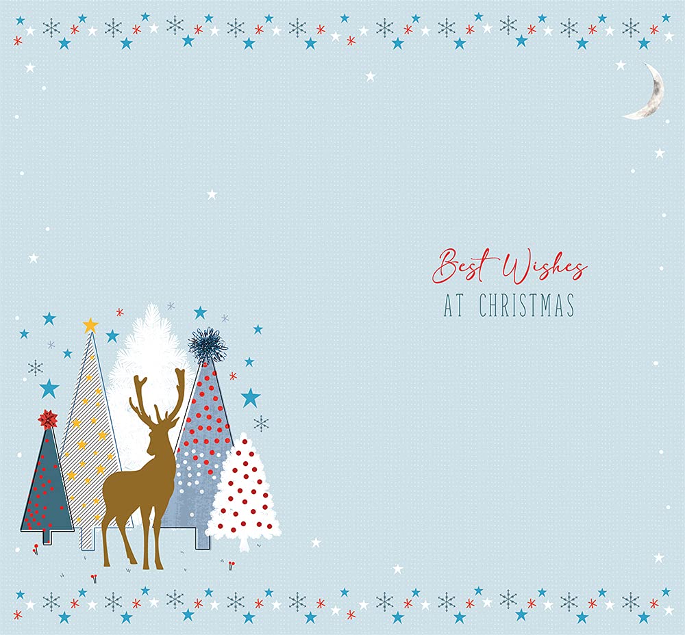 Son Christmas Card Wishing You a Wonderful Christmas Design