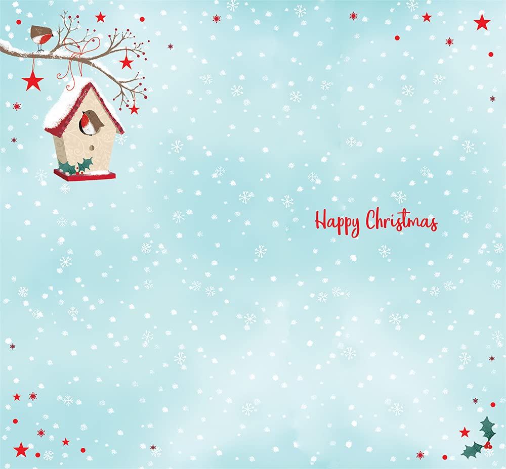 Daughter & Son In Law Christmas Card  Bird House Bright Design