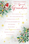 Christmas Card To Special Grandson Large Robin Winter Cottage 15x23cm