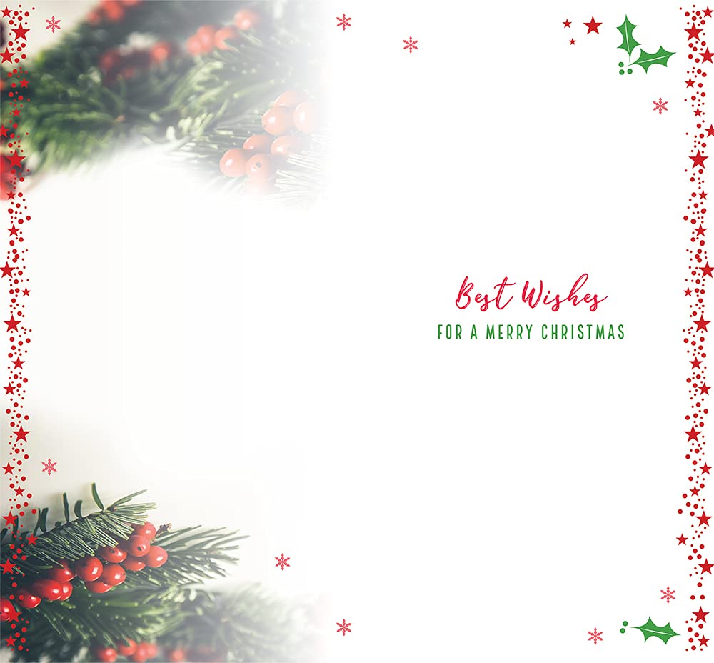 Brother & Sister In Law Christmas Card Have A Jolly Xmas Bright Design