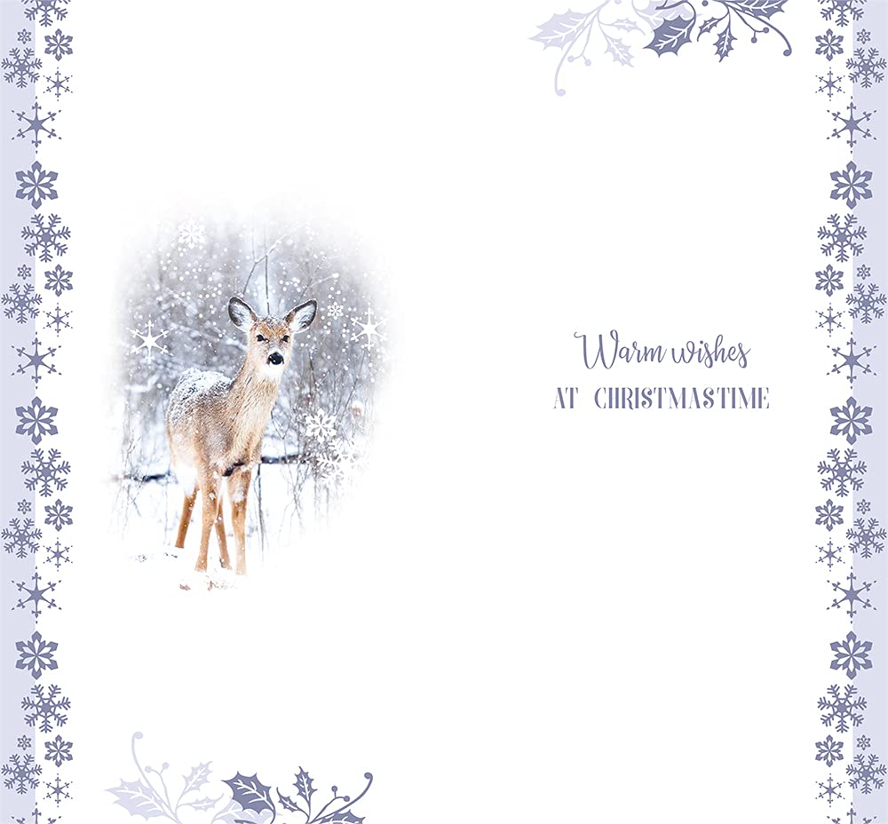 Open Christmas Card Christmas Wishes Let It Snow Deer & Holly Bright Design