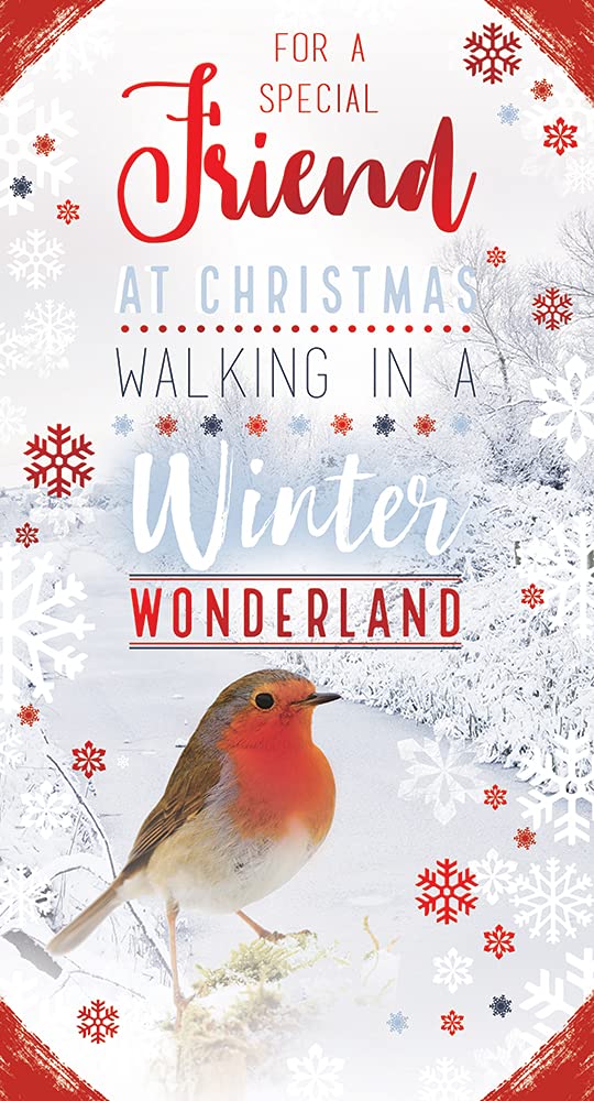 Friend Christmas Card Winter Wonderland Robin Bright Design
