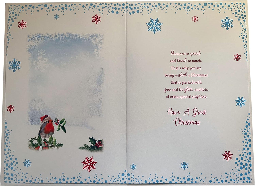 For A Special Friend Robins & Twig Design Christmas Card Lovely Verse