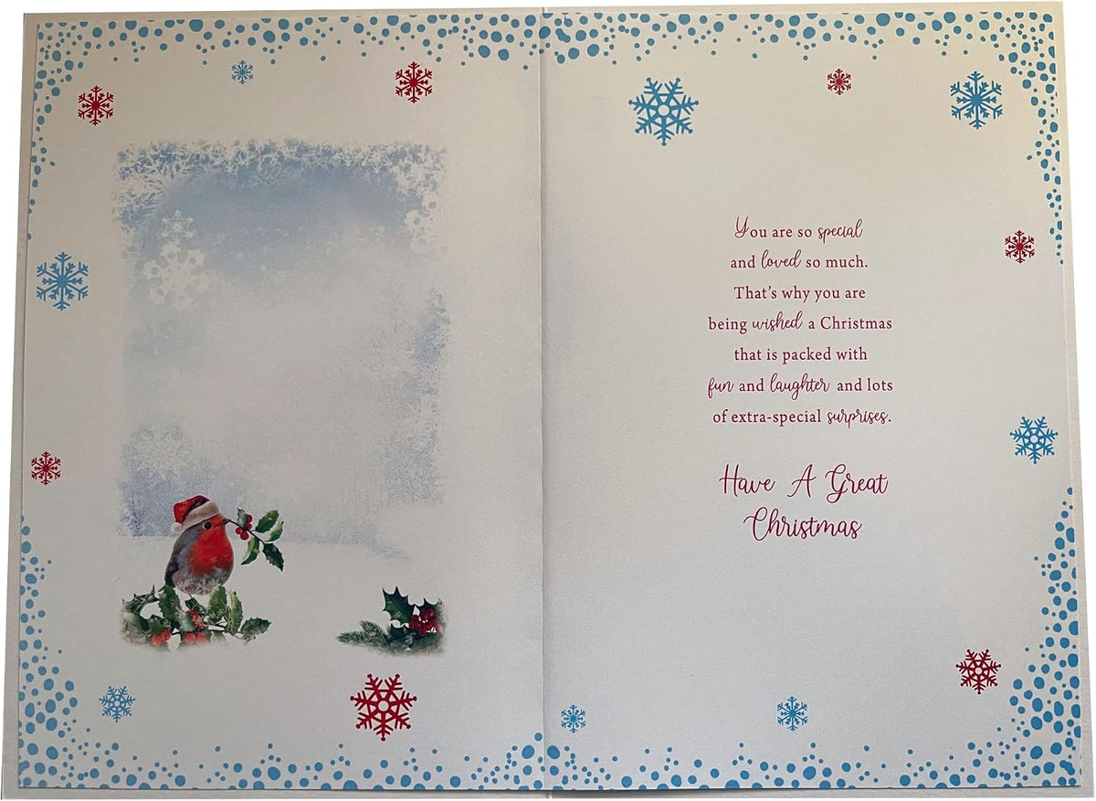 For A Special Friend Robins & Twig Design Christmas Card Lovely Verse