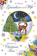 Christmas Card Special Grandson & Wife Large Deer Moon Scene 15x23cm