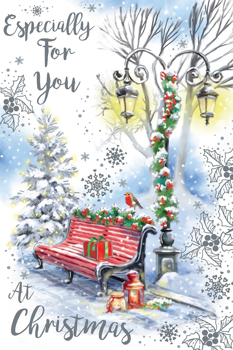 Open Christmas Card Especailly For You Bench Robin 7.5" x 5" Lovely Verse