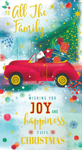 All The Family Christmas Card Wishing You Joy & Happiness This Christmas 9" x 5"