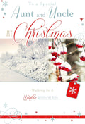 Aunt & Uncle Christmas Card Frozen Stream & Snowflake Design Lovely Verse