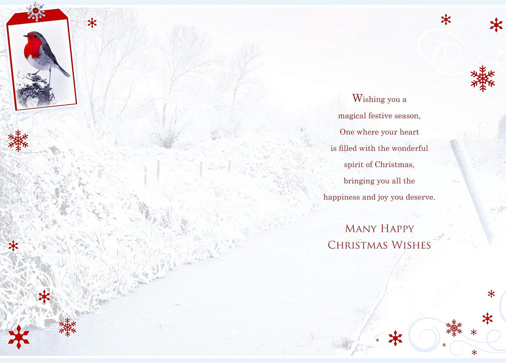 Grandson Christmas Card Robin Frozen Stream & Snowflake Design Lovely Verse