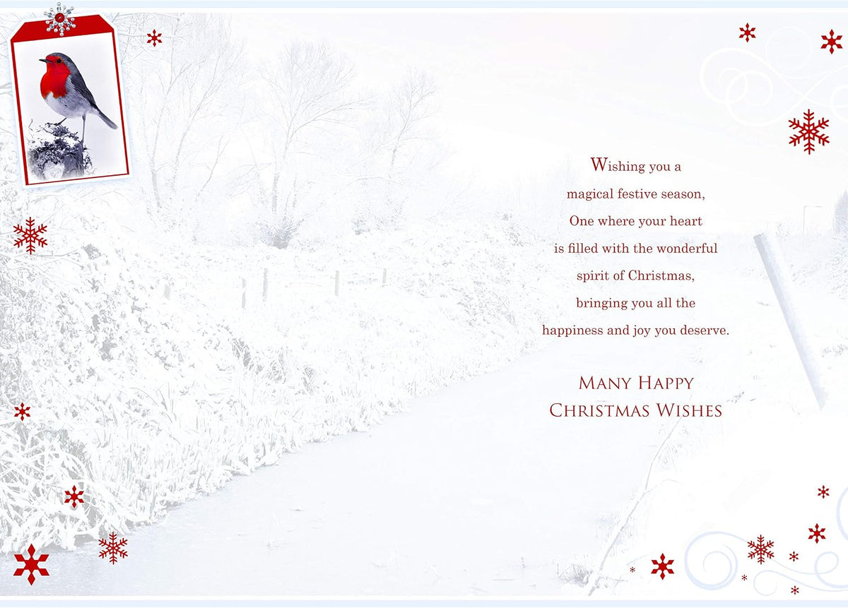 Grandson Christmas Card Robin Frozen Stream & Snowflake Design Lovely Verse