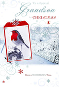 Grandson Christmas Card Robin Frozen Stream & Snowflake Design Lovely Verse